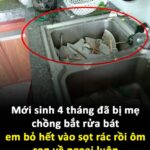 Mới sinh 4 tháng đã bị mẹ chồng bắt rửa bát, em bỏ hết vào sọt rác rồi ôm con về ngoại luôn