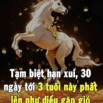 Tạm biệt hạn xui, 30 ngày tới có 3 tuổi phất lên như diều gặp gió, số 1 dễ đổi đời